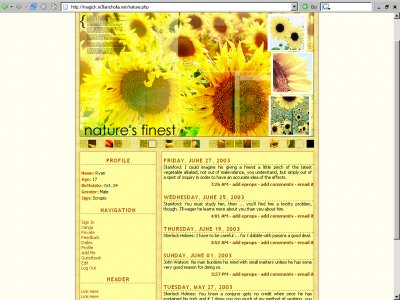 View preview